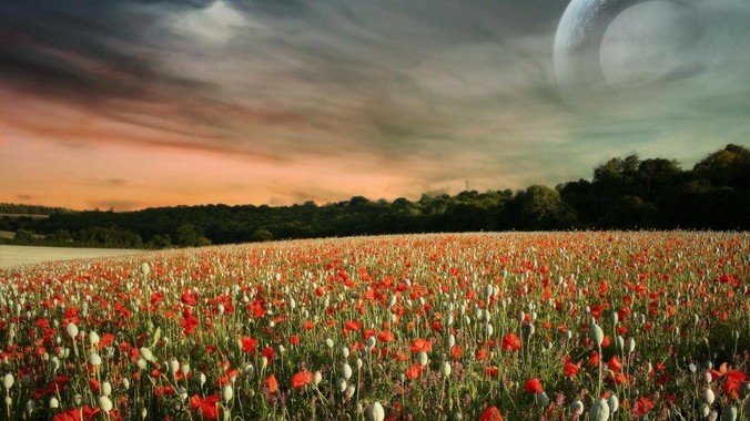 未来的“苹果”“谷歌”等万亿级企业将诞生在何处?_技术_领域_生物